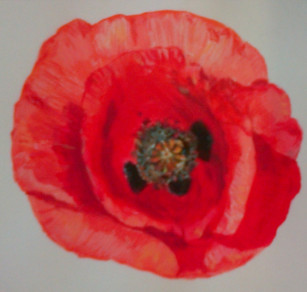 WW1-15